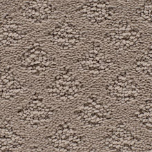 Load image into Gallery viewer, Blissful Outlook|Angel Silk|3A48-810 - Sample