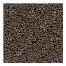Load image into Gallery viewer, Heavenly Allure|Uptown Taupe|3A50-879 - Sample