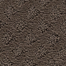 Load image into Gallery viewer, Blissful Outlook|Uptown Taupe|3A48-879 - Sample