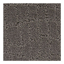 Load image into Gallery viewer, Classy Charm|City Loft|BP63B-964 - Sample