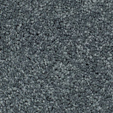 Load image into Gallery viewer, Sheer Essence|Spruce Tint|K8920-9684 - Sample