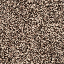 Load image into Gallery viewer, Soft Accolade I|Perfect Beige|3A56-779 - Sample