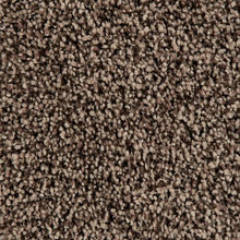 Load image into Gallery viewer, Authentic Clarity I|Bare Twig|3A92-779 - Sample