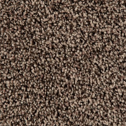 Authentic Clarity II|Bare Twig|3A93-779 - Sample