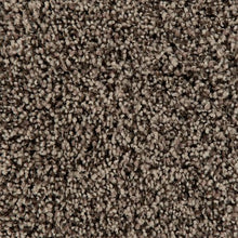 Load image into Gallery viewer, Authentic Clarity II|Cashew Butter|3A93-810 - Sample