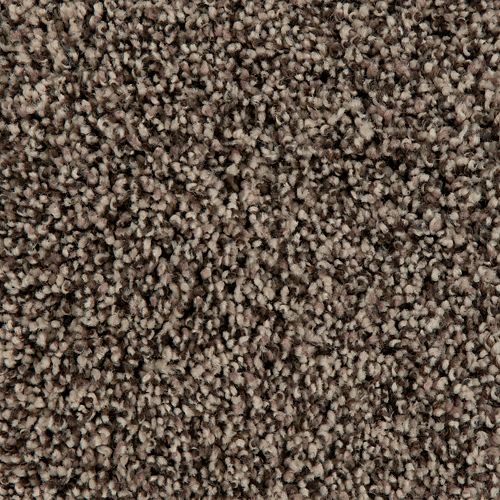 Authentic Clarity II|Cashew Butter|3A93-810 - Sample