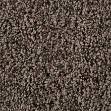 Load image into Gallery viewer, Authentic Clarity II|Light Moves|3A93-820 - Sample