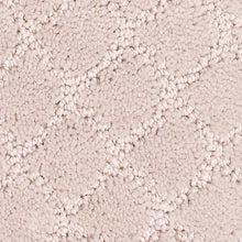 Load image into Gallery viewer, Authentic Luxury|Biscotti|2Z91-9748 - Sample