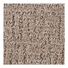 Load image into Gallery viewer, Special Selection|Carmelita|2Z65-781 - Sample