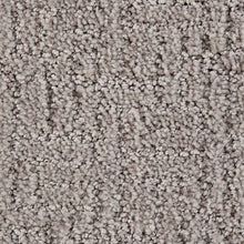 Load image into Gallery viewer, Bountiful Beauty|Longhorn|2Z63-839 - Sample