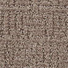 Load image into Gallery viewer, Bountiful Beauty|Desert Accents|2Z63-861 - Sample