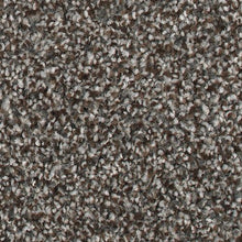 Load image into Gallery viewer, Captivating Presence|Universal Umber|K8930-9879 - Sample