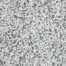 Load image into Gallery viewer, Captivating Presence|January Frost|K8930-9930 - Sample