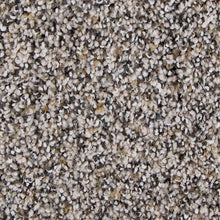 Load image into Gallery viewer, Admirable Harmony|Frosted Almond|3B45-504 - Sample