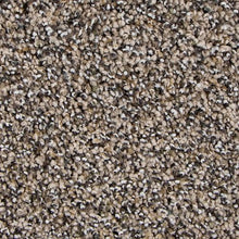 Load image into Gallery viewer, Admirable Harmony|Cedar|3B45-515 - Sample