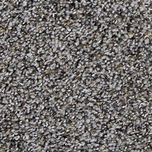 Load image into Gallery viewer, Authentic Match|Flintstone|2Y94-506 - Sample