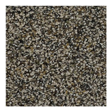 Load image into Gallery viewer, Enchanting Vision|Frosted Almond|BP90B-504 - Sample