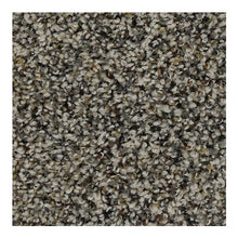 Load image into Gallery viewer, Delightful Vision|Elmwood|3D25-505 - Sample