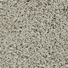 Load image into Gallery viewer, Bold Finish|Nougat|63604-6749 - Sample