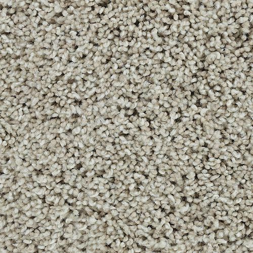Bold Finish|Nougat|63604-6749 - Sample