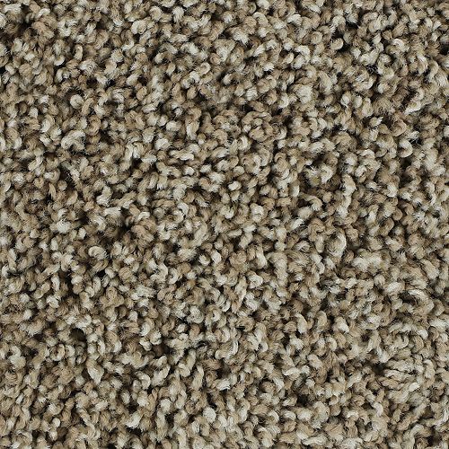 Bold Finish|Sugar Cone |63604-6779 - Sample