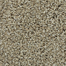 Load image into Gallery viewer, Bold Finish|Blonde Willow|63604-6824 - Sample