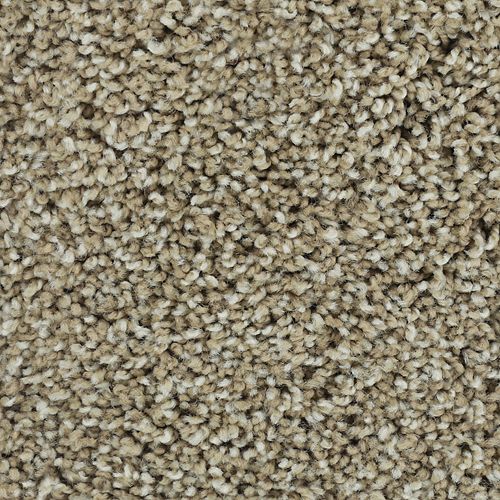 Bold Finish|Blonde Willow|63604-6824 - Sample