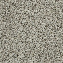 Load image into Gallery viewer, Bold Finish|Weathered Wood|63604-6829 - Sample