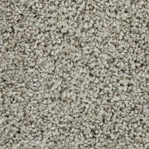 Bold Finish|Weathered Wood|63604-6829 - Sample