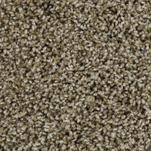 Load image into Gallery viewer, Bold Finish|Swiss Almond|63604-6848 - Sample