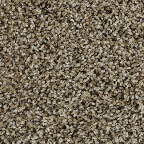 Bold Finish|Swiss Almond|63604-6848 - Sample