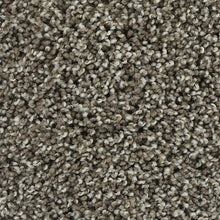 Load image into Gallery viewer, Bold Finish|Universal|63604-6869 - Sample