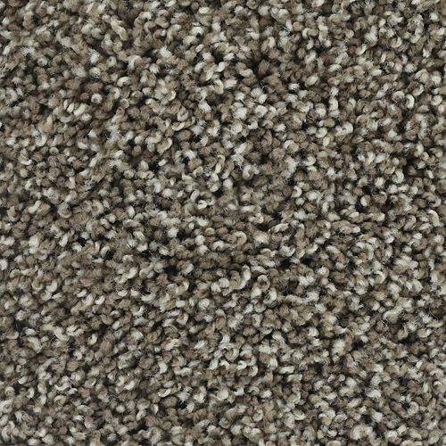 Bold Finish|Universal|63604-6869 - Sample