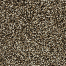 Load image into Gallery viewer, Bold Finish|Potter&#39;s Clay|63604-6876 - Sample