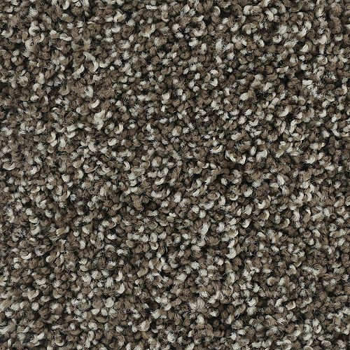 Bold Finish|Deep Sable|63604-6879 - Sample