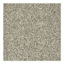 Load image into Gallery viewer, Natural Comfort I|Haven|3C42-779 - Sample