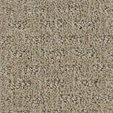 Load image into Gallery viewer, Attractive Trend|Dignified|3D65-749 - Sample