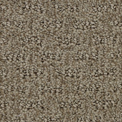 Attractive Trend|Ancestral|3D65-779 - Sample