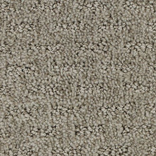 Load image into Gallery viewer, Attractive Trend|Yearling|3D65-805 - Sample