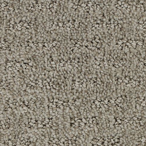 Attractive Trend|Yearling|3D65-805 - Sample