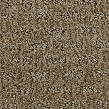 Load image into Gallery viewer, Attractive Trend|Homemade|3D65-851 - Sample