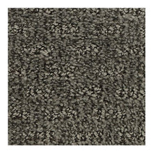 Load image into Gallery viewer, Sleek Charm|Atrium|3C08-990 - Sample