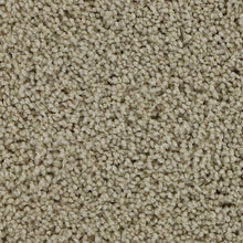 Load image into Gallery viewer, Authentic Scene|Romano|BP93B-716 - Sample