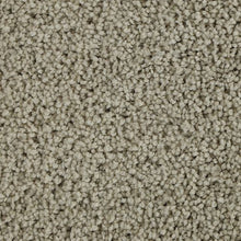 Load image into Gallery viewer, Authentic Scene|Dovetail|BP93B-720 - Sample