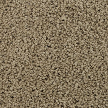 Load image into Gallery viewer, Authentic Scene|Neutral|BP93B-765 - Sample