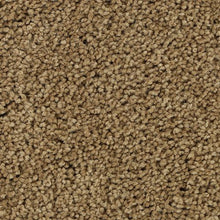 Load image into Gallery viewer, Authentic Scene|Artisan Hue|BP93B-771 - Sample