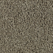 Load image into Gallery viewer, Authentic Scene|Universal|BP93B-815 - Sample