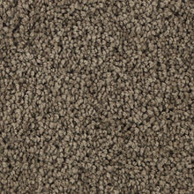 Load image into Gallery viewer, Authentic Scene|Aberdeen|BP93B-848 - Sample