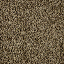 Load image into Gallery viewer, Authentic Scene|November Foliage|BP93B-876 - Sample