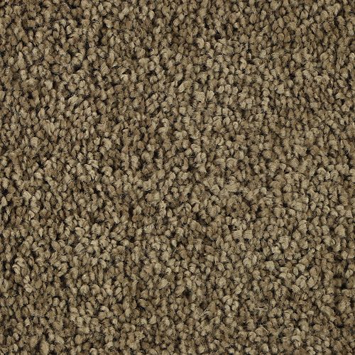 Authentic Scene|November Foliage|BP93B-876 - Sample